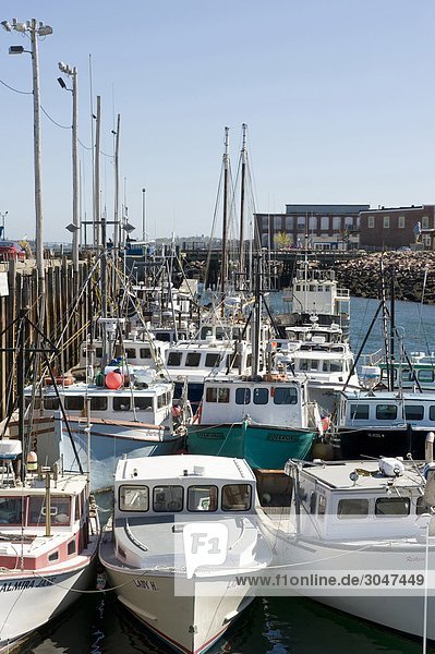 USA  Maine  Eastport  Hafen
