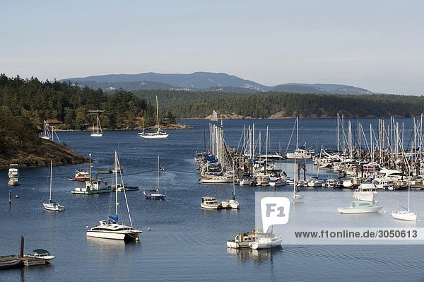 USA  Washington State  San Juan Island: Boote im Hafen von Freitag