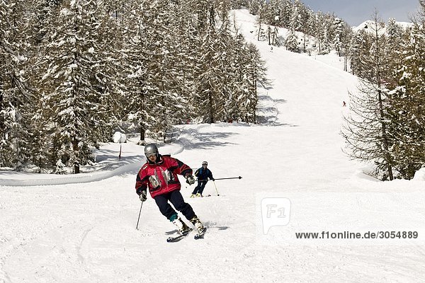 Italy  Aosta Valley  Torgnon  cross-country skiing