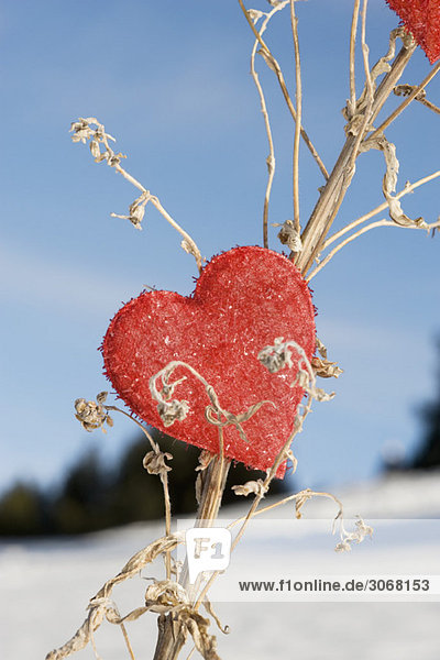 Herzförmiges Ornament auf getrocknetem Pflanzenstiel