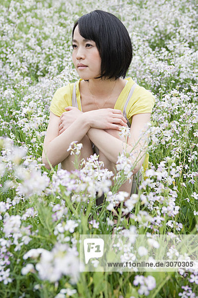 Junge Frau im Blumenfeld sitzend