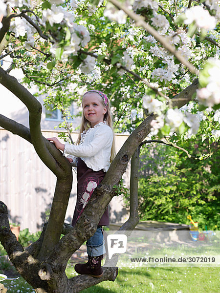 A girl climbing a tree Skane Sweden.