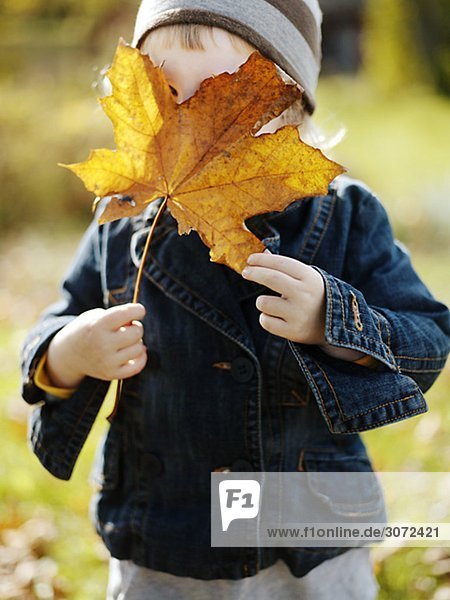 A girl holding a maple leaf Sweden