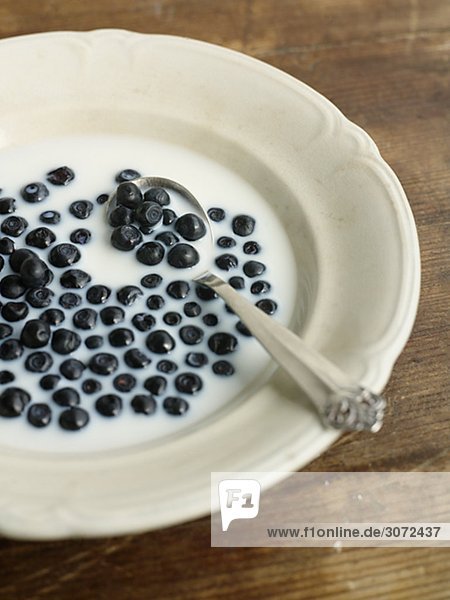 Ein Teller voll von Milch und Heidelbeeren Schweden