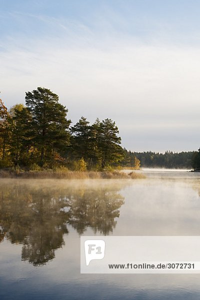 Morgennebel von einem See Tyreso Schweden