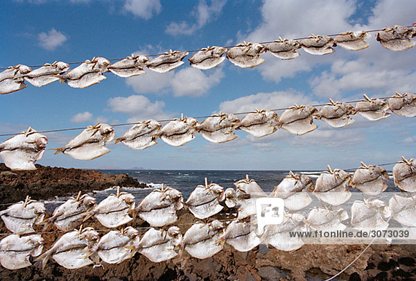 Fish hanging out to dry Greece