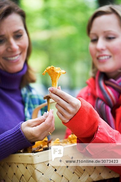 Mother and daughter picking mushrooms Sweden.
