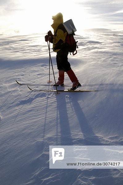 A skier on the bare mountain region above the tree line  Harjedalen  Sweden.