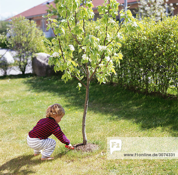 Boy planting tree in garden