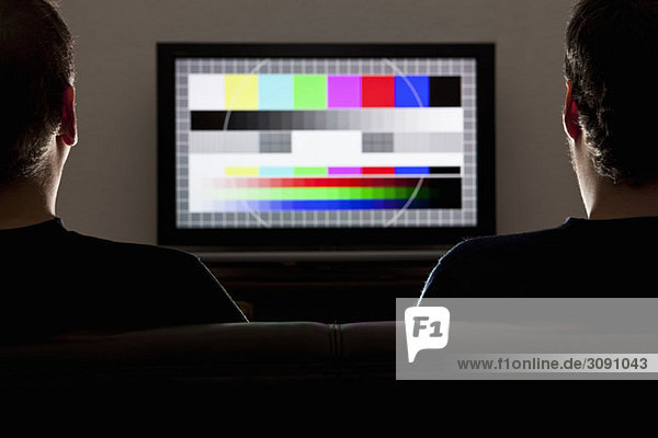 Zwei Männer sehen sich ein Testbild auf einem Fernseher an.