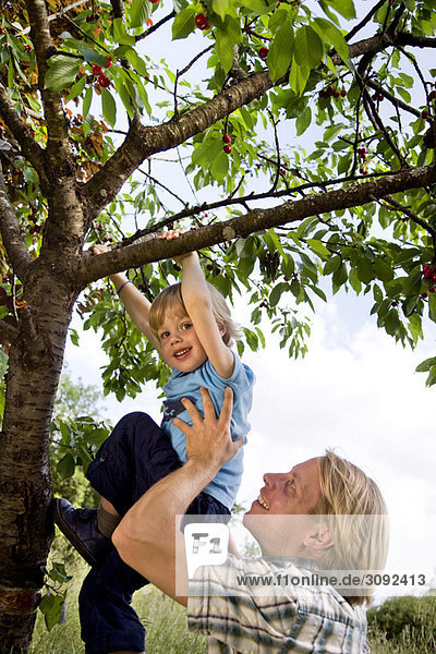 Mann hilft dem Sohn auf den Baum zu klettern