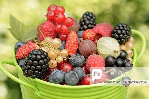 Bucket of berries