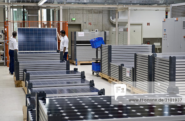 Produktion von Solarmodulen bei SOLON SE  Berlin-Adlershof  Deutschland  Europa