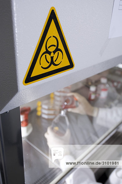 Stammzellenforschung am Max-Planck-Institut für Molekulare Genetik  Laborant bei der kultivierung von Stammzellen  Berlin  Deutschland