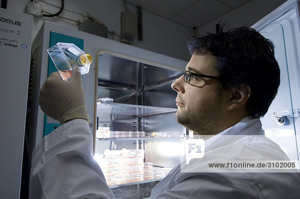 Stammzellenforschung am Max-Planck-Institut für Molekulare Genetik  Laborant an einem Inkubator mit Zellen  Berlin  Deutschland