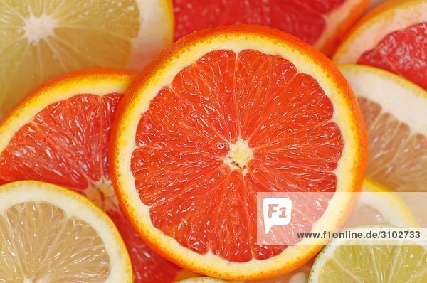 Grapefruit  Orange  Zitrone und Kalk Scheiben