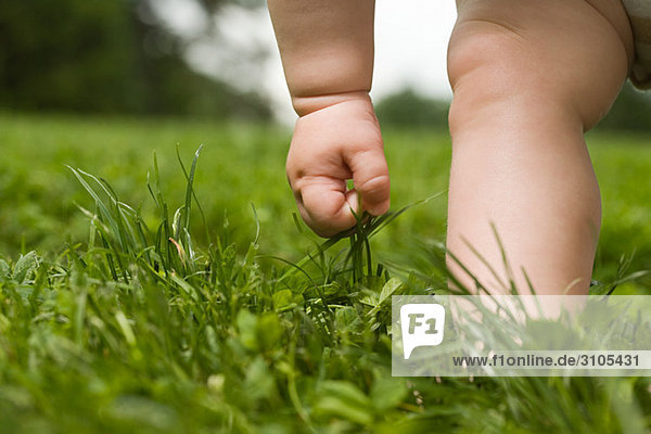 Nahaufnahme von Hand und Bein des Babys im Gras