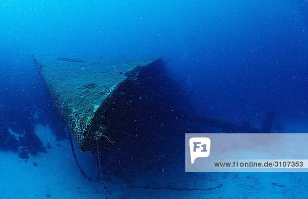 Hilma Hooker Ship Wreck  Bonaire  Netherlands Antilles  Caribbean Sea