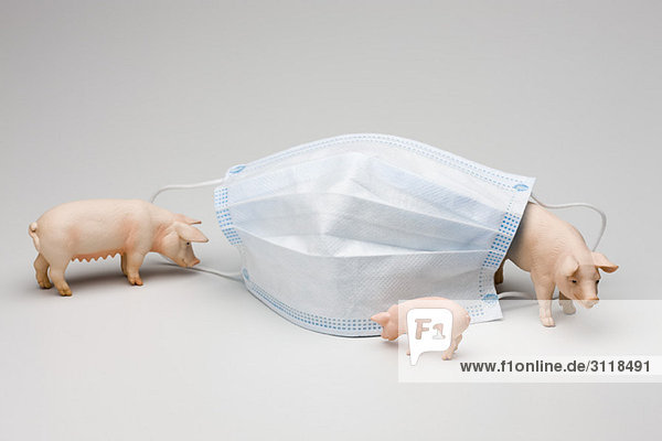 Schweinegrippe-Konzept mit Grippemaske und Spielzeugschweinen