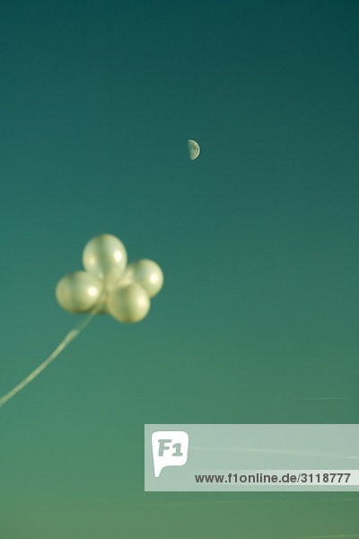 Weiße Luftballons gegen blauen Himmel  Mond im Hintergrund