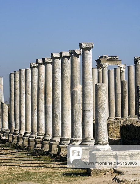 Säulen inmitten einer Ausgrabungsstätte in Perge  Türkei