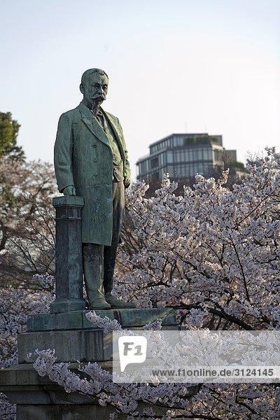 Statue in einem Park umgeben von Kirschbäumen  Tokyo  Japan