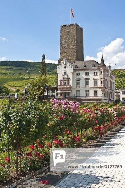 Brömserburg  Rüdesheim am Rhein  Deutschland