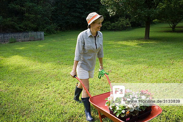 Woman with wheelbarrow of plants