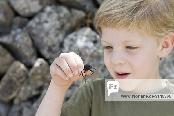 Ein kleiner Junge hält einen Käfer.