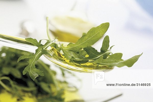Rucola auf einem Löffel Olivenöl