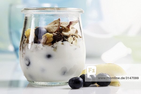 Joghurtmüsli mit Heidelbeeren und Trockenfrüchten