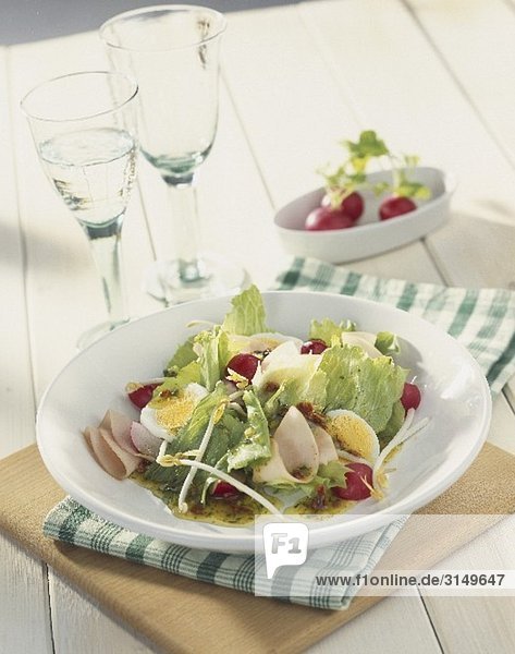 Salatteller mit Eisbergsalat  Ei  Radieschen & Schinken