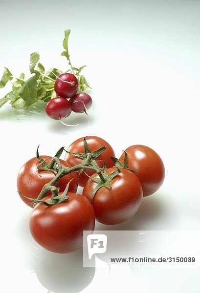 Tomaten und Radieschen