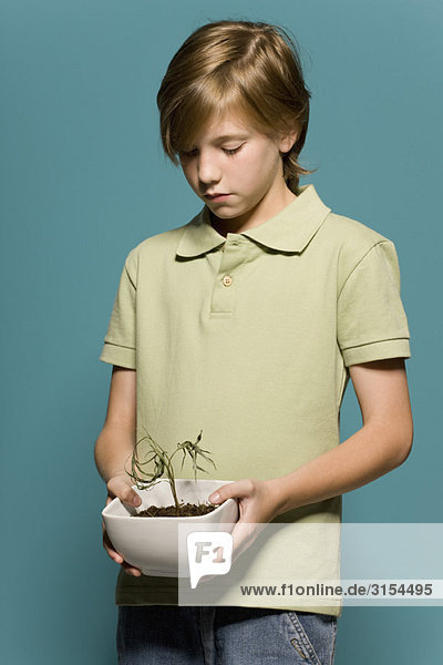 Junge mit verwelkter Topfpflanze