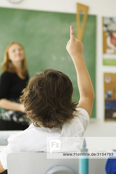 Elementary student raising hand in class  rear view