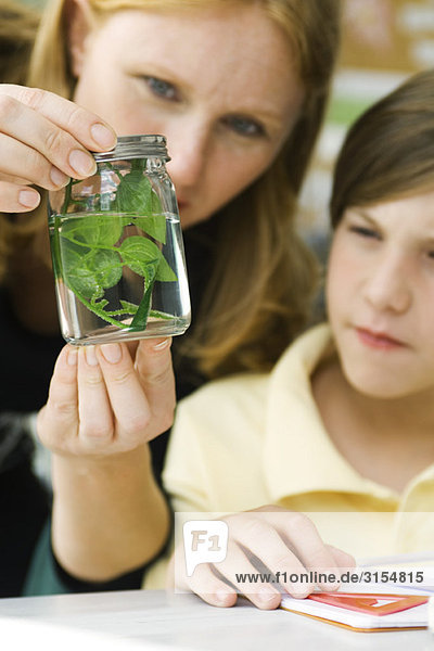 Lehrer und Grundschüler beim Betrachten der Pflanze im Glas