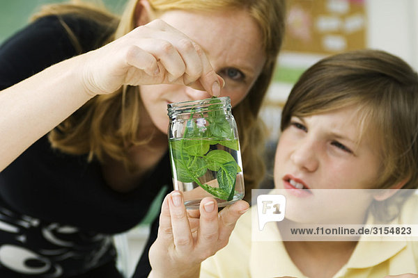 Grundschullehrer zeigt Schülerpflanze im Glas