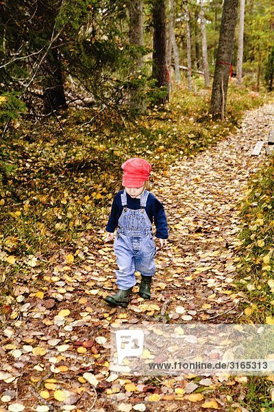 A boy walking on a path in the forest  Sweden.