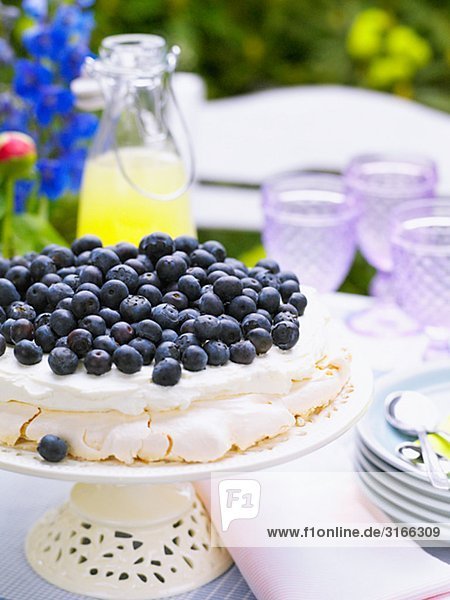 Gateau with blueberries  Sweden.