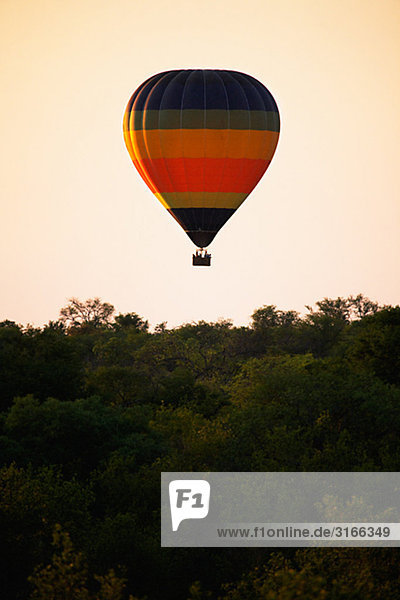 Ballons fliegen in der Abendsonne  Südafrika.