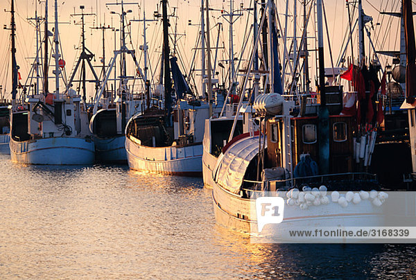 Fischerboote Esbjerg Jütland Dänemark.