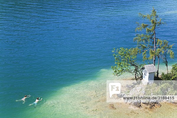 Paar schwimmt am Ufer einer kleinen Insel im Wolfgangsee Salzkammergut Österreich Vogelperspektive