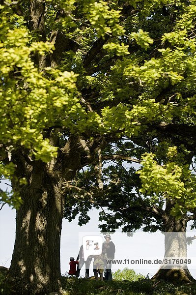 Five people standing under oak-trees  Sweden.