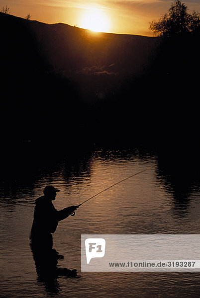 Fly Fishing at Midnight im Juli