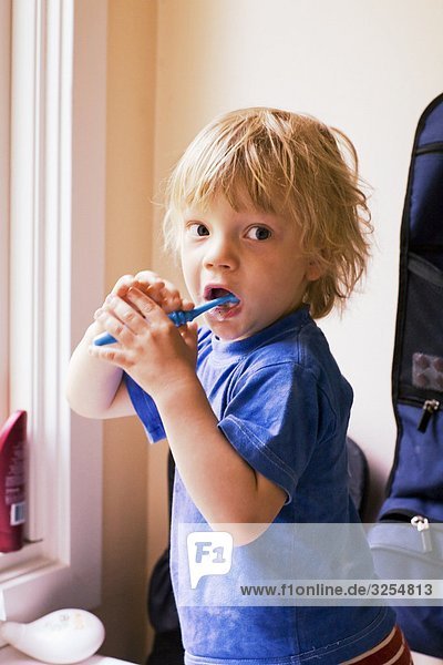 A small boy brushing his teeth  Sweden.