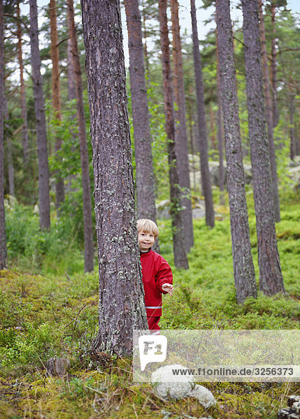Kleinkind versteckt sich hinter Baum im Wald