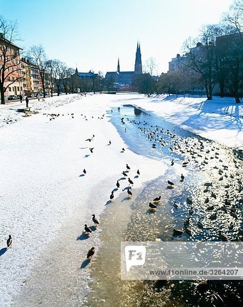 Ein gefrorenen Fluss  Uppsala  Schweden.
