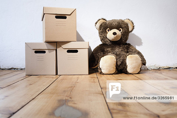 Teddy next to cardboard boxes
