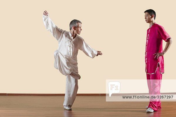 Kung Fu  Tixi liangquan  Zwei Männer machen Kung-Fu-Moves.