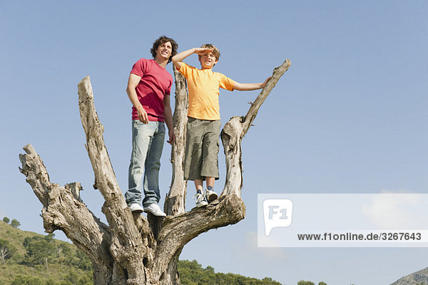 Spanien  Mallorca  Vater und Sohn (8-9) auf einem Baum stehend